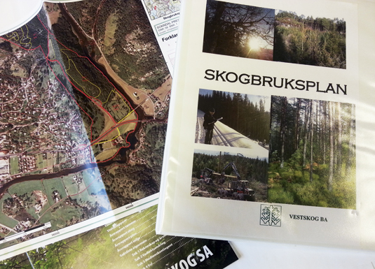 Skogeigarar i Vindafjord og Karmøy får nå tilbod om skogbruksplan.