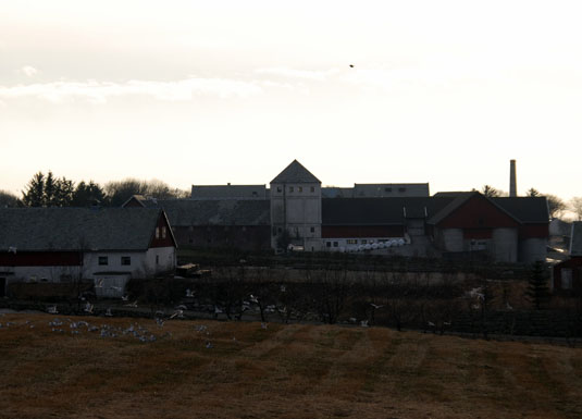 Gardsdrift har vore ein del av fengselsdrifta på Åna sidan 1915.
