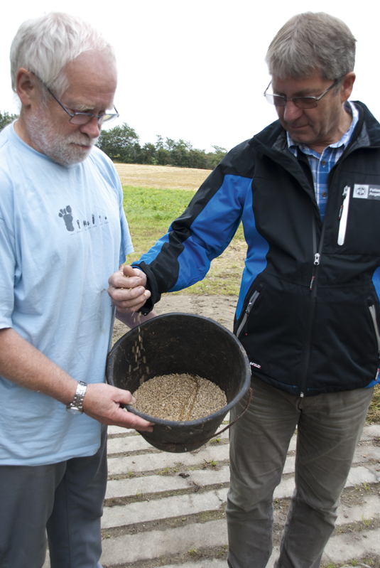Harald Hadland, til venstre, synes såkornet som han har dyrka av torads bygg, ser bra ut. Tor-Osmund Våga mener at torads bygg passer godt der det er lang vekstsesong og ellers gode vekstforhold, god jordstruktur og høg pH.