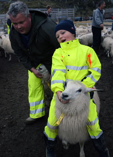 Johannes Time (7) fekk hjelp av far, Torulf Time. – Det er kjekt å ri på sauene, sa 7-åringen.