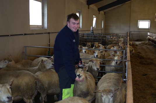 Null papir – alt på nett