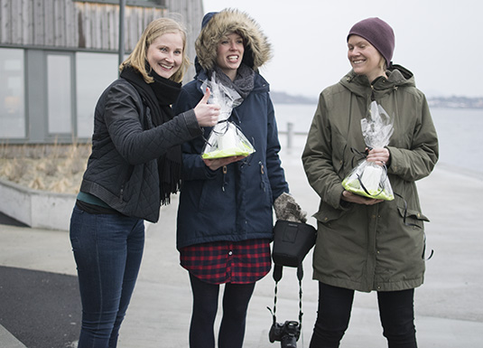 Ingeborg Anker-Rasch, Gerd Inger Aarnes og Elisabeth Schmidt 