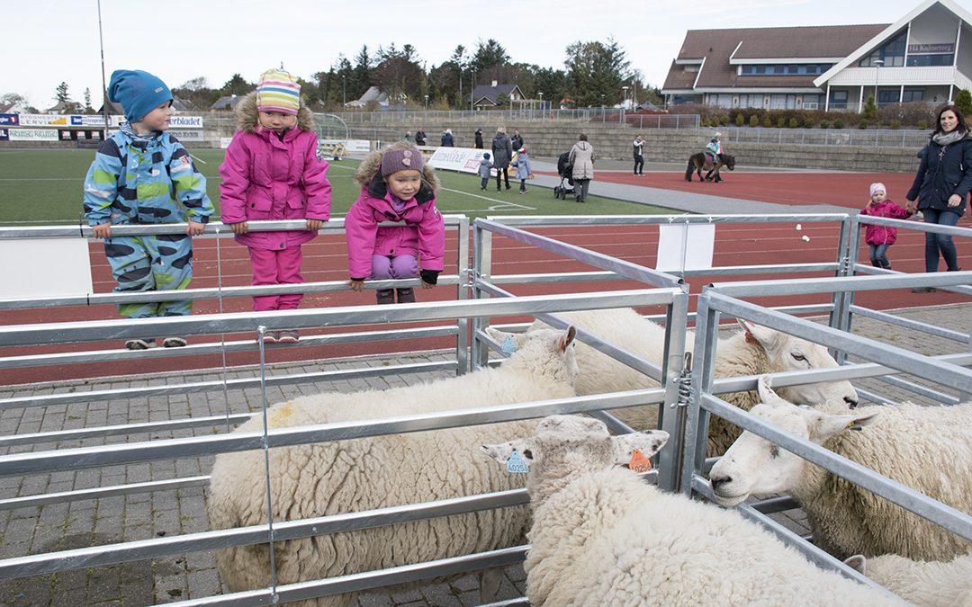 Sprek 70-åring på Nærbø