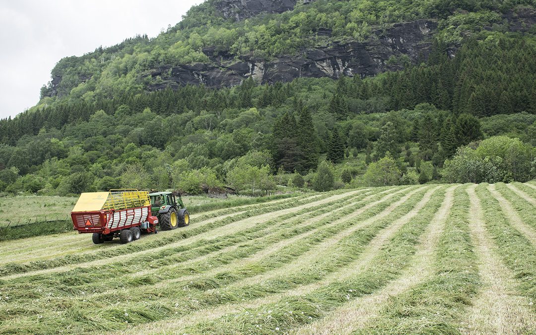 Store variasjonar i driftsresultat