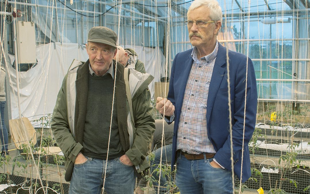 Treng meir økologisk matproduksjon i Norge