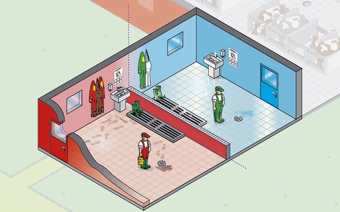 Smittesluse i storfe-besetninger