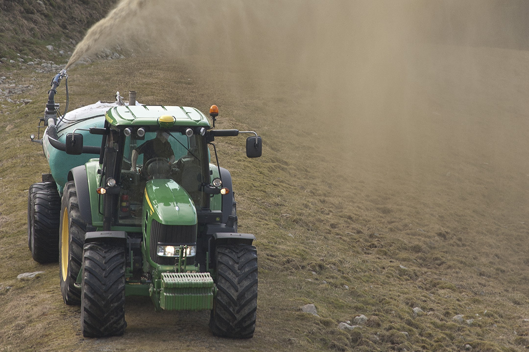 Viktig plantenæring: Fosforet i husdyrgjødsla er verdifull plantenæring. Nå skal det forskes videre for å skaffe landbruket mer kunnskap, renere vassdrag og maks P- tilgang til plantene.