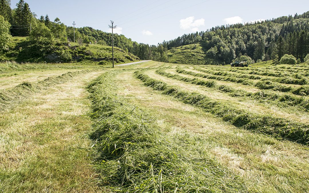 Våtare, varmare vestlandsklima