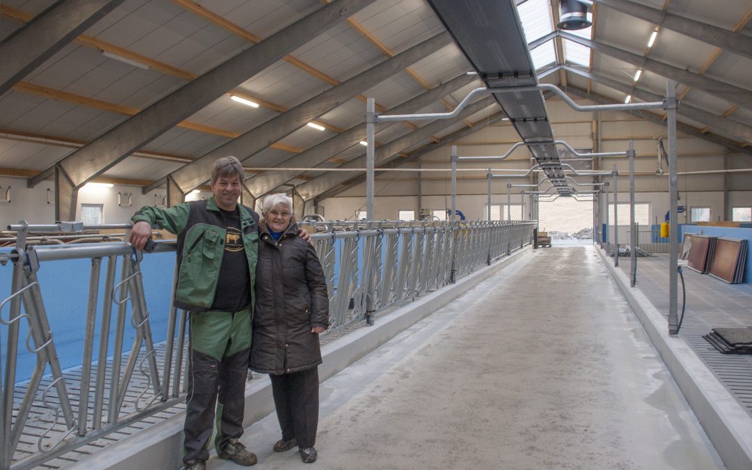 Avlsbesetning i vekst