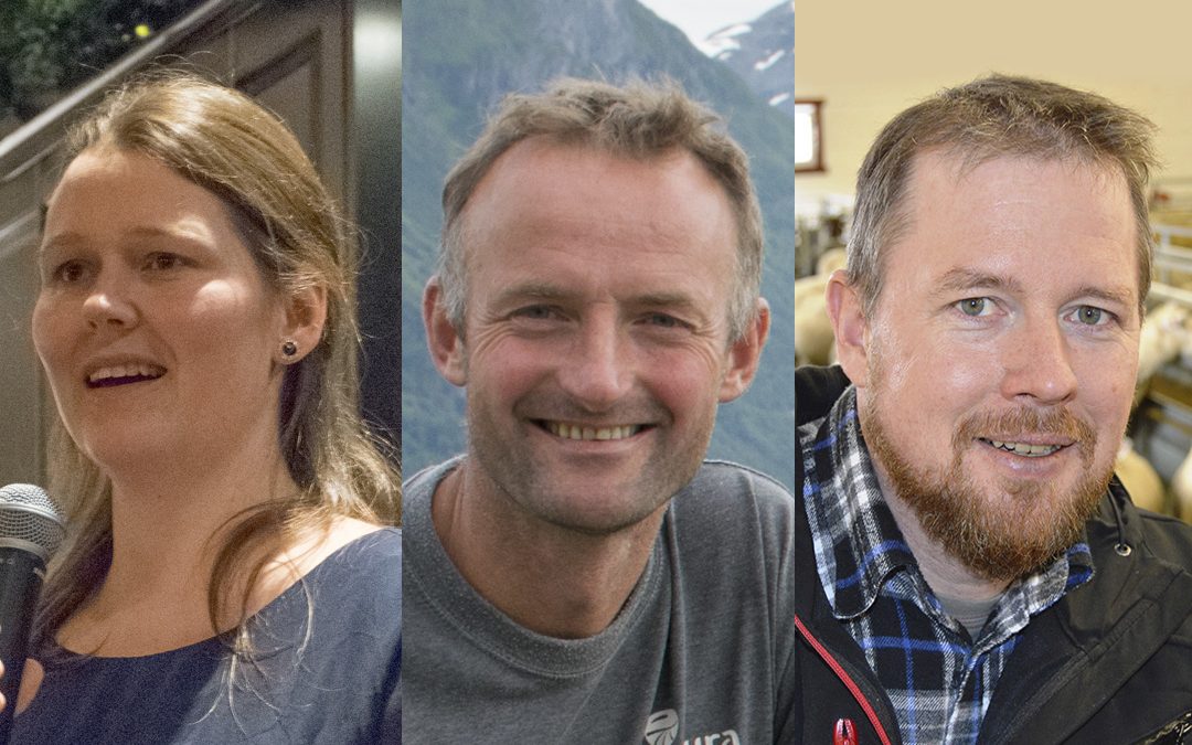 Send jordbruksmeldinga i retur