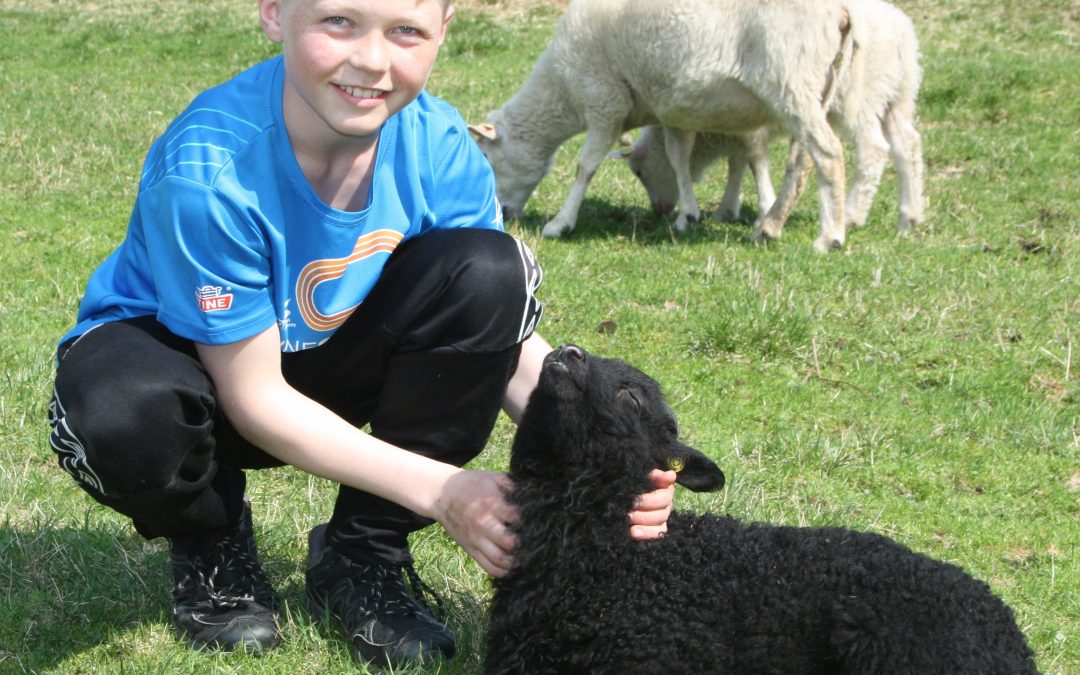 Besøksgard stadig meir populært