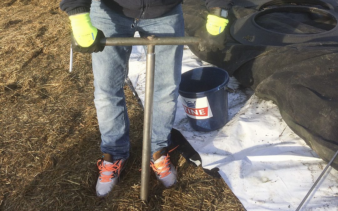 Det evinnelege sporestyret