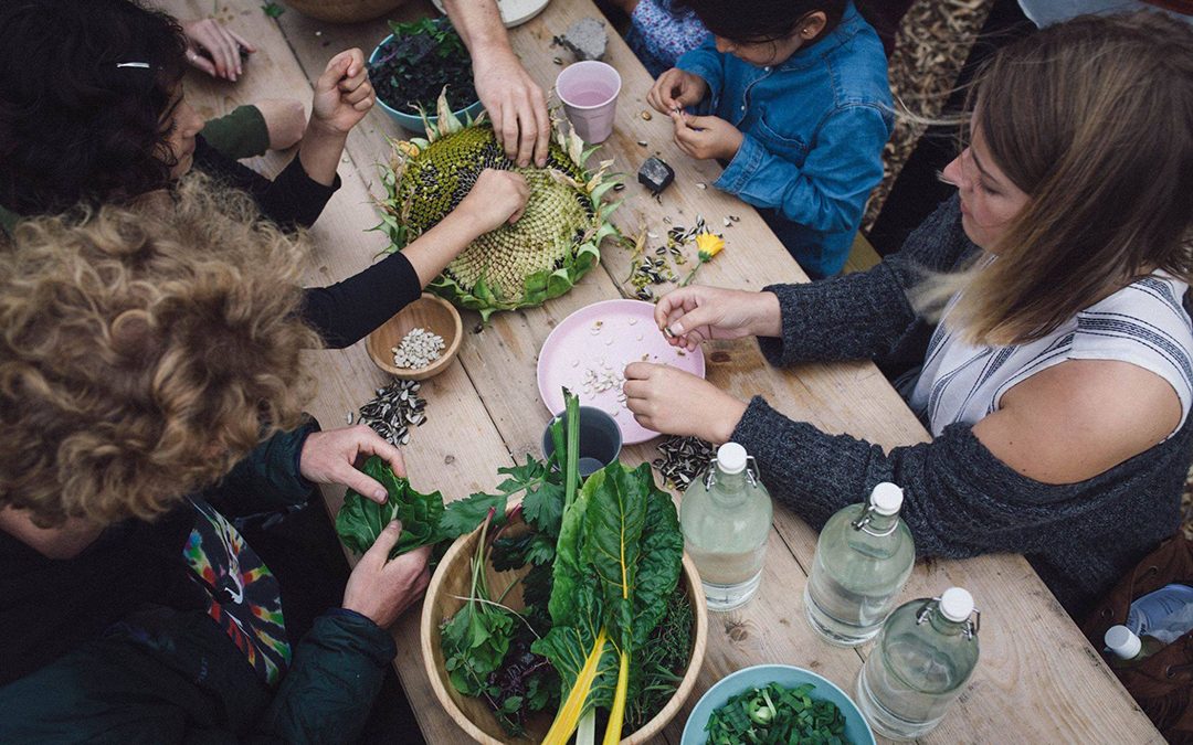 Landbruk inn i byane