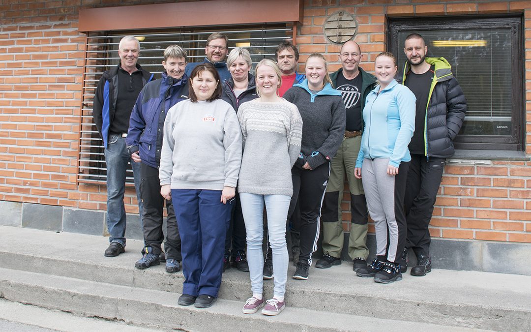 Pilene peikar oppover for Haukeli meieri