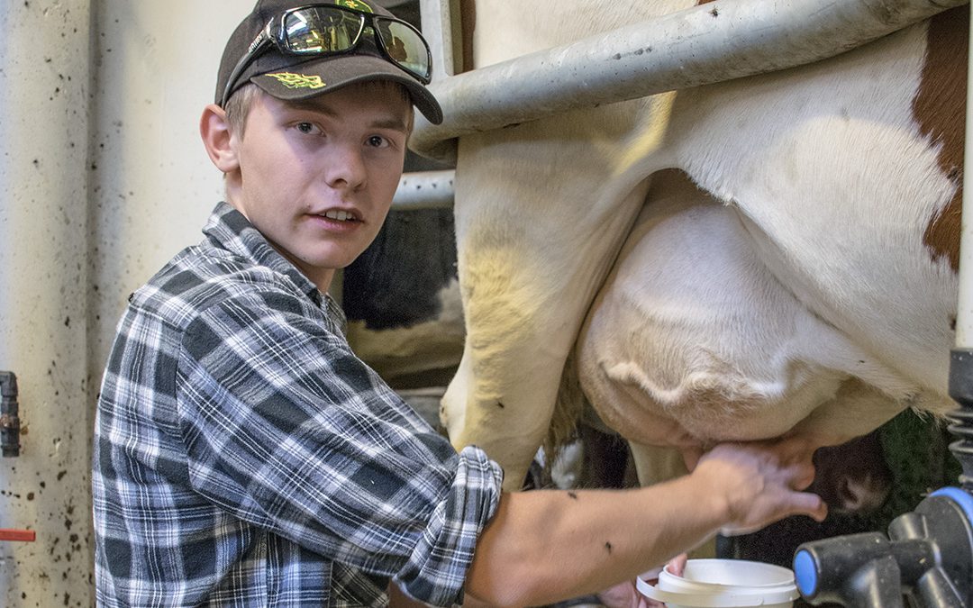 Eit ufrivillig pauseår