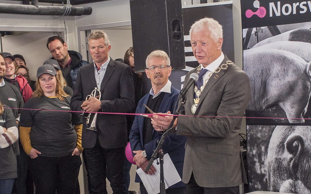 Milepæl for Norsvin