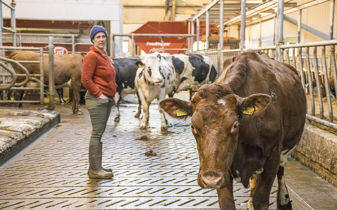 Ikkje nøl med å melde frå