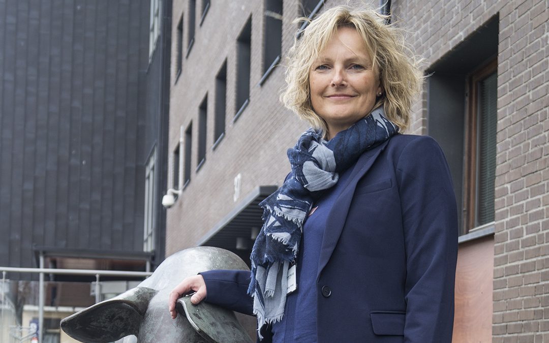 Gjenvalgt som styreleiar i Nortura