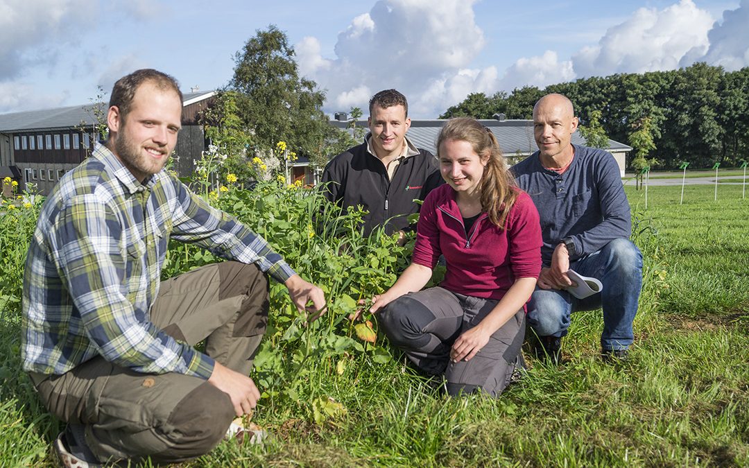 Gras- og jordarbeidingsnytt på Særheim