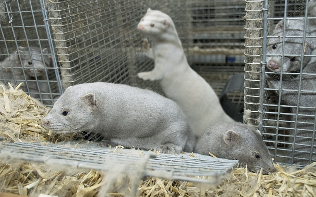 Måtte skapa ny tillit