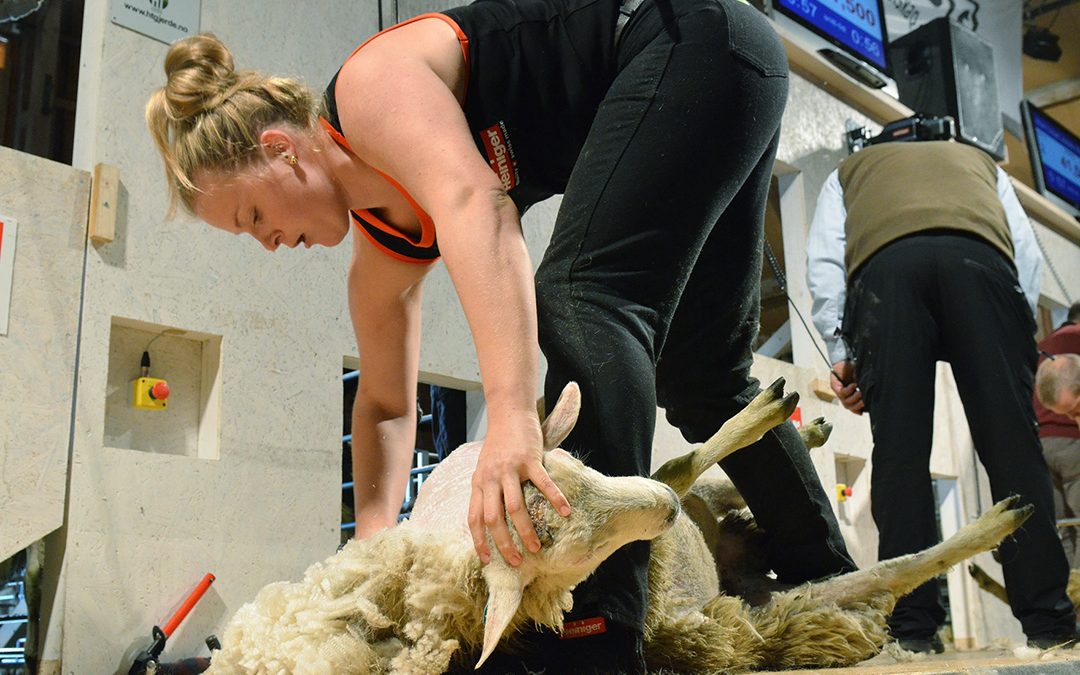 Trippel suksess på Fosen