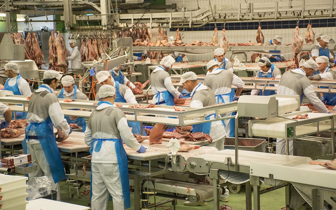 Store verdiar på kroken