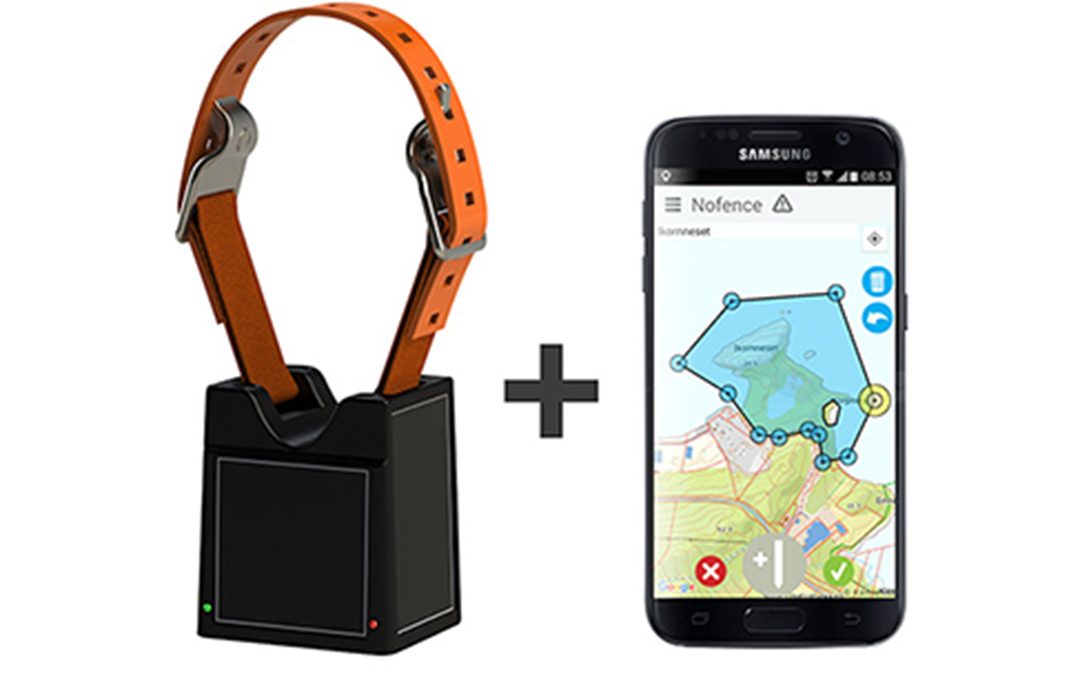 No kan geita beita utan stolpar og nett