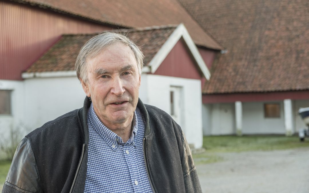 Svinenestor med meiningars mot