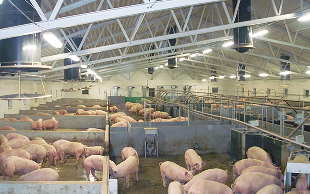 Store verdiar i samarbeid