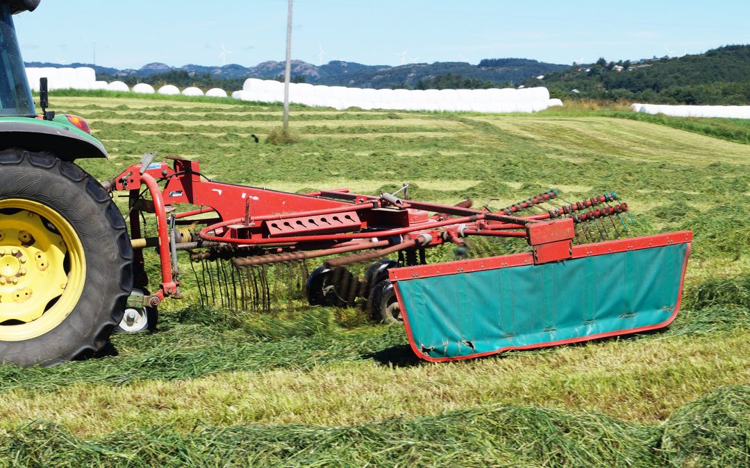Har femdobla salet av Kofasil