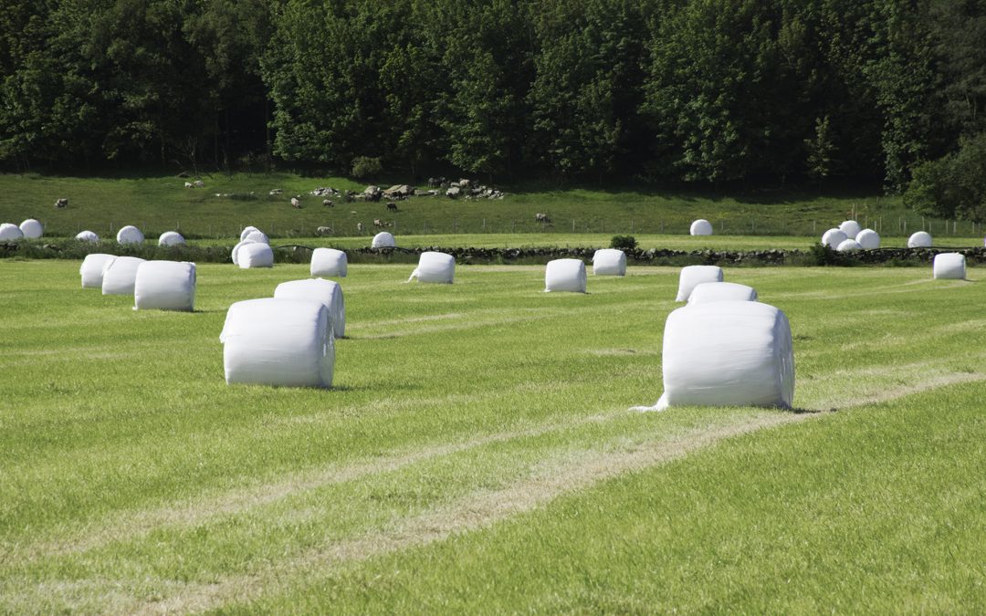 Mistenker snylting på grønn ordning