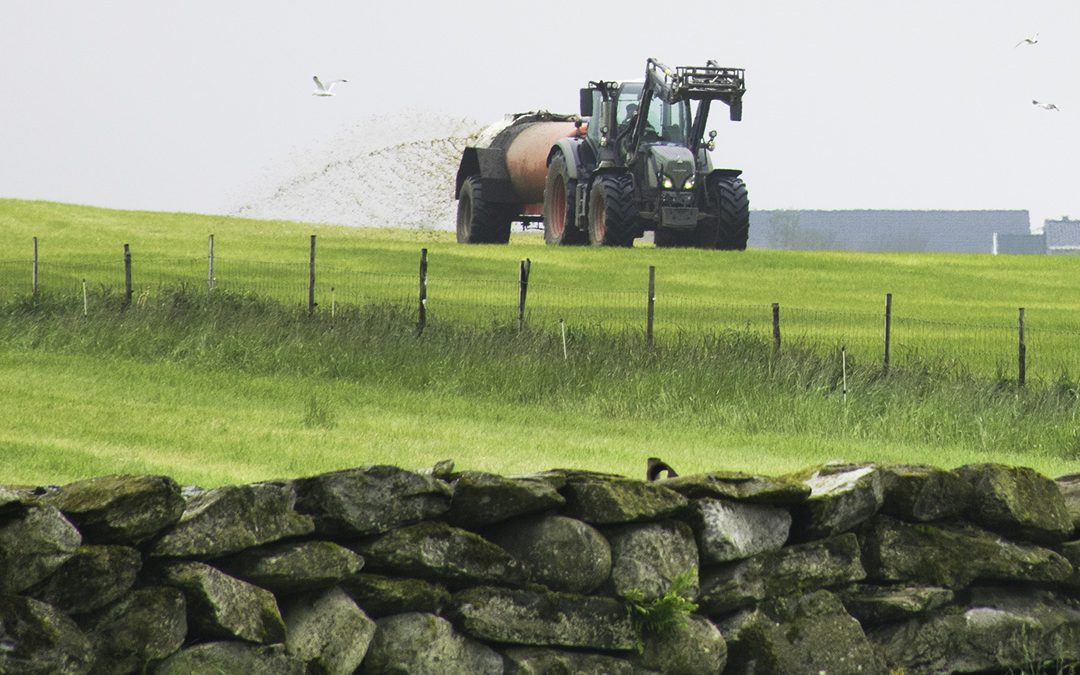 Spreiearealkrava kan bli skjerpa