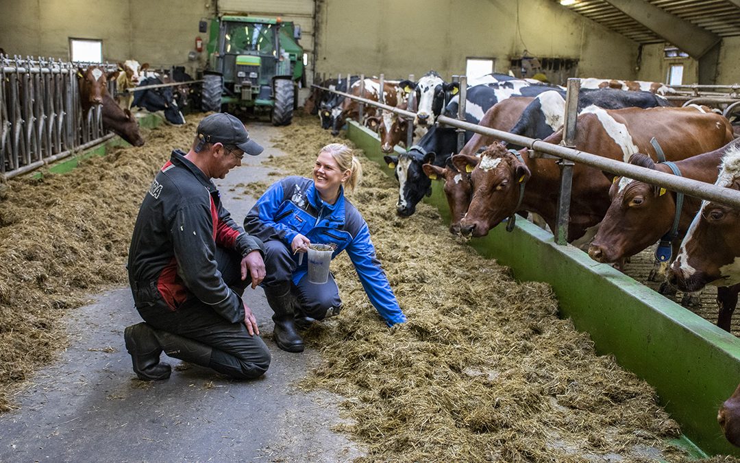 Måler seg til betre resultat