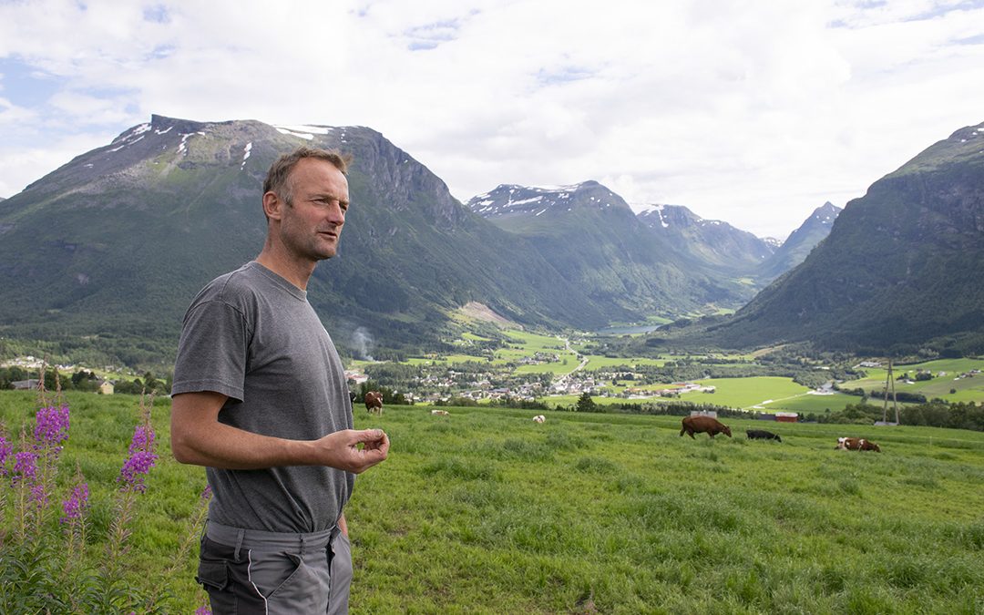 Dårlegare økonomi i vest