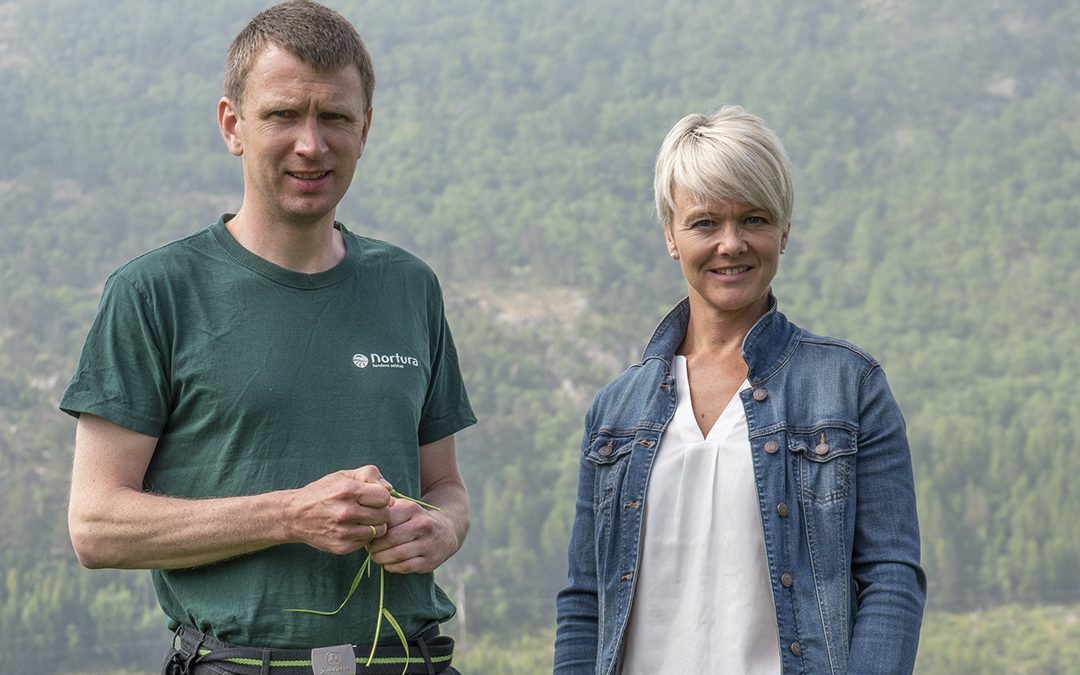 Tilbyr KSL-hjelp og tilsynsbistand