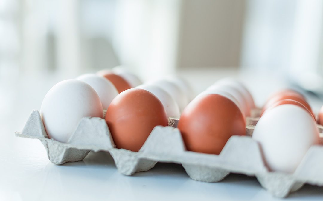 Eggeskallet: Superkrefter rett fra naturen