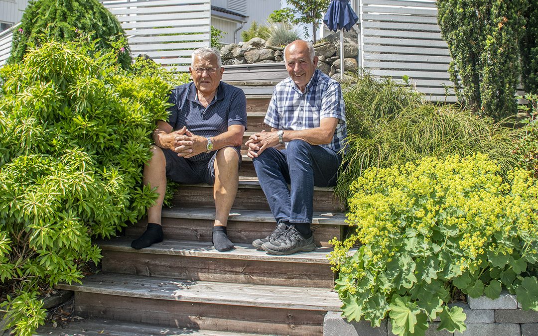 Inseminørar med auge for dyr