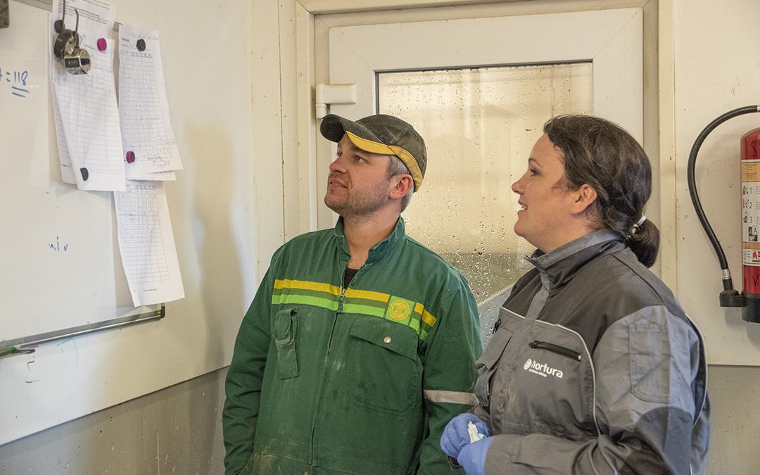 Løftar resultatet i slaktegrisehuset