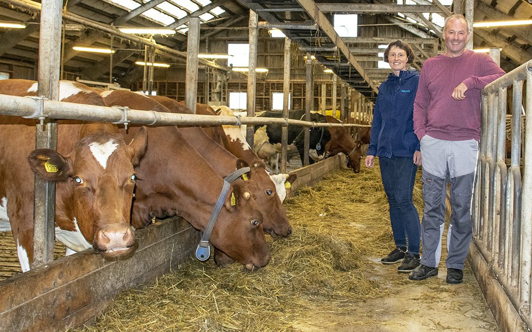 Sjonglerer med fiber