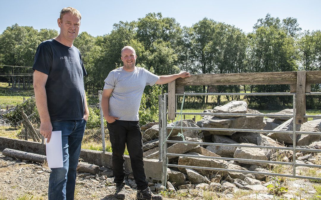 Bygger nytt fjøs til 34 kyr