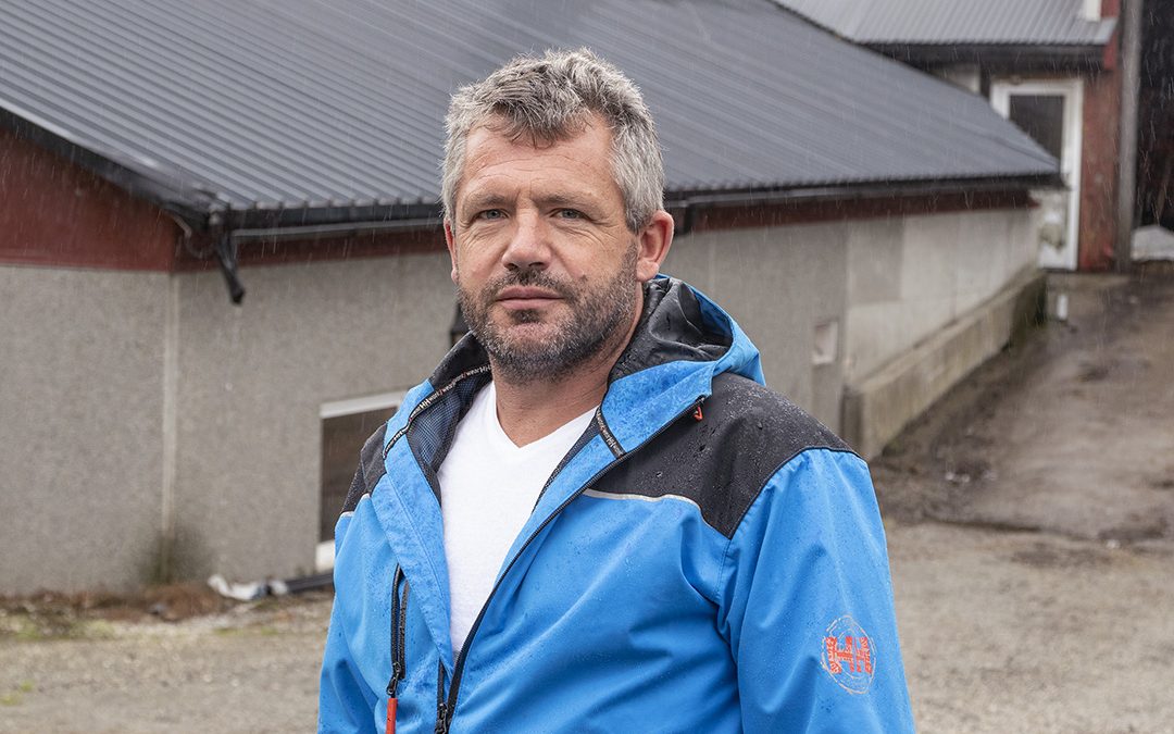 Purkeslakta må reknast med