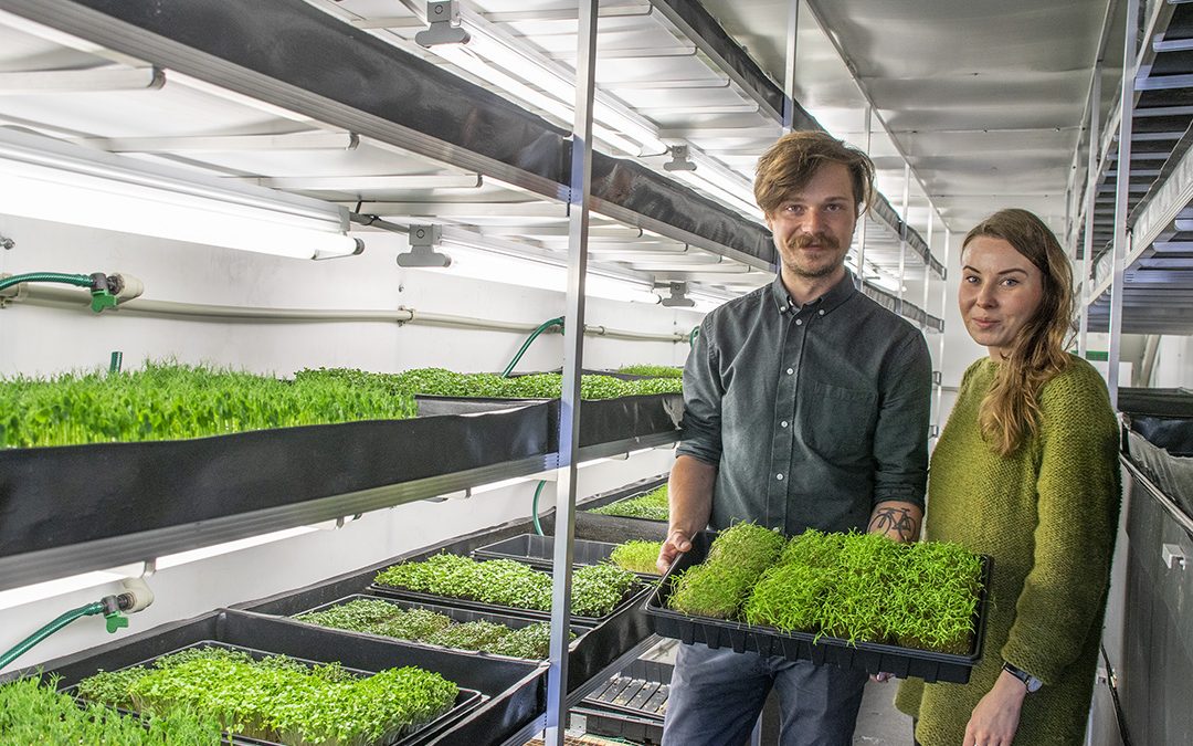 Spirende suksess i konteiner