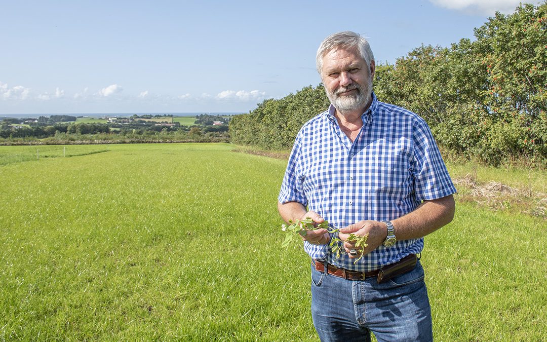 – Me er på veg ned frå toppen av det industrielle landbruket