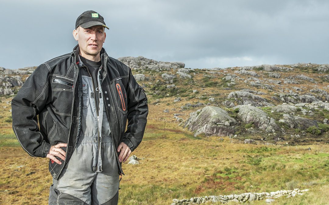 Utnyttar garden med ku, sau og ammeku