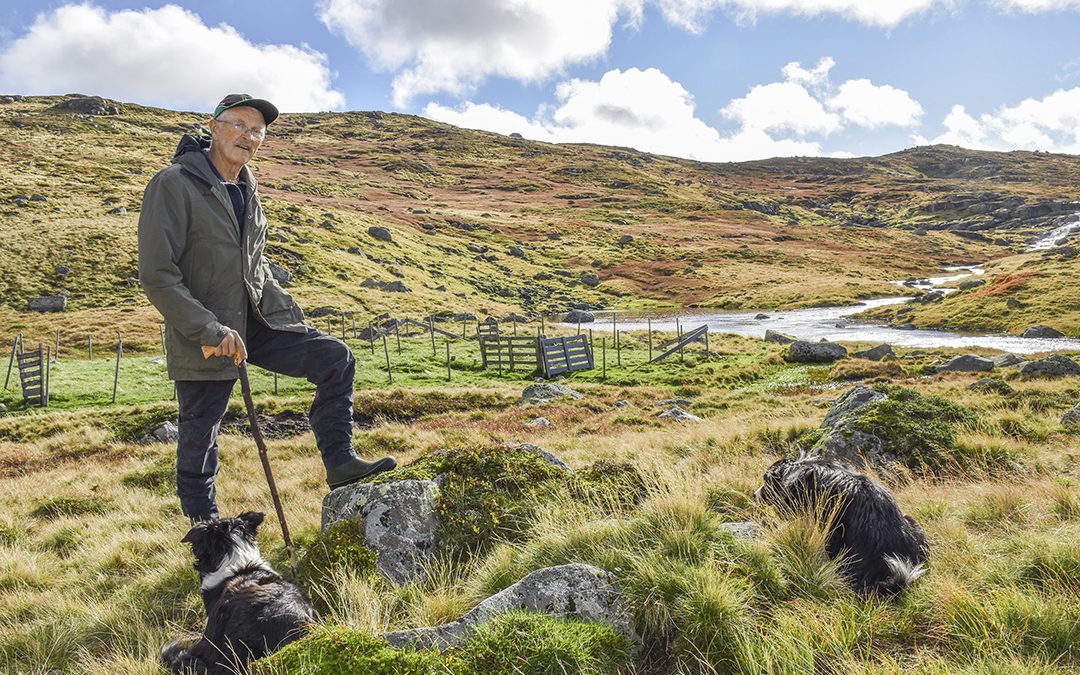 Fridom og ansvar i heia