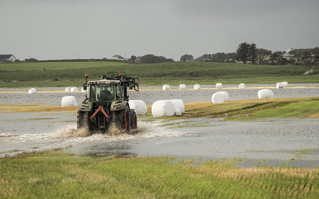 Får ikkje etablera klimafond