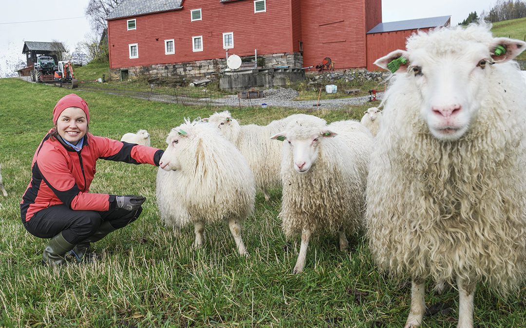 Vil gjera kvinner meir stolte av yrket sitt