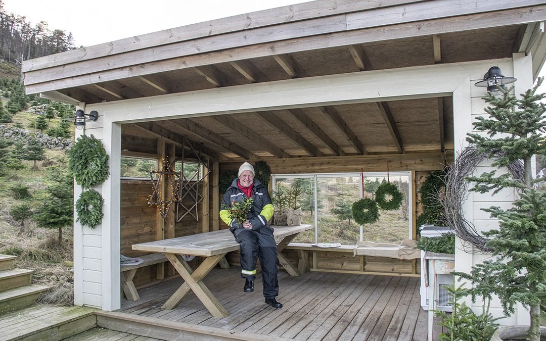 Opnar garden for hogst og julehygge