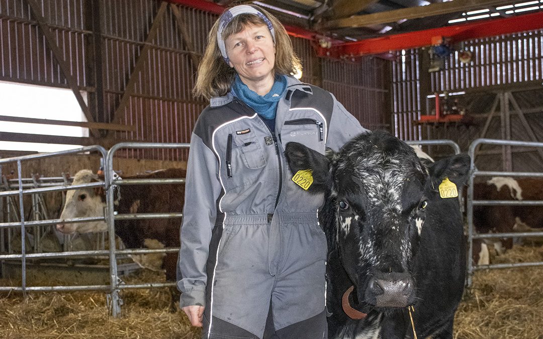 Vil snu landbrukspolitikken