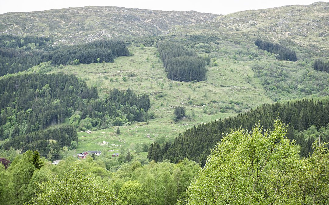 Lagar eige kart over fôrressursane